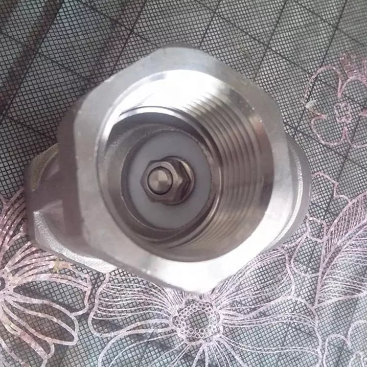 STAINLESS STEEL Y-SPRING CHECK VALVE CF8/CF8M Stainless Steel Y Type Spring Check Valve Thread End Y Type Spring Check Valve stainless steel 304 316 Y-strainer