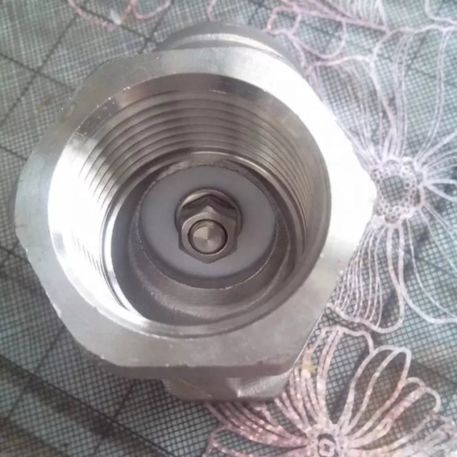 STAINLESS STEEL Y-SPRING CHECK VALVE CF8/CF8M Stainless Steel Y Type Spring Check Valve Thread End Y Type Spring Check Valve stainless steel 304 316 Y-strainer