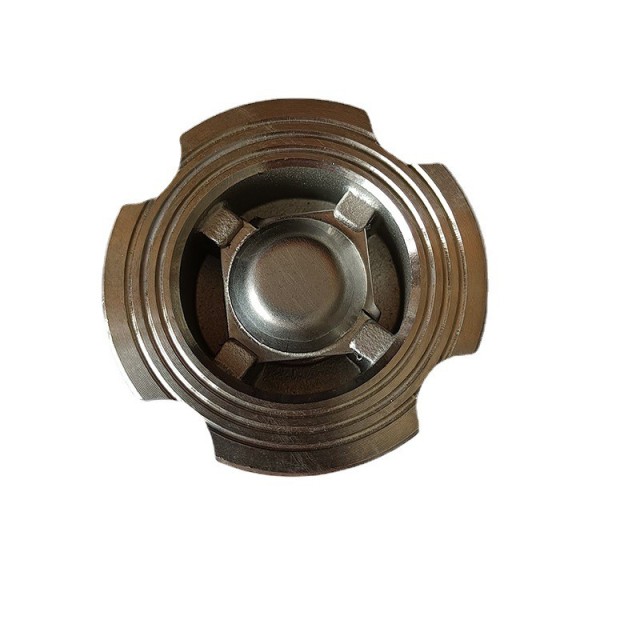 Stainless steel filter spring vertical water pump foot check valve check valve 2-PC SPRING VERTICAL CHECK VALVE WITH FILER