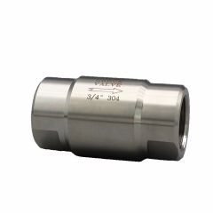 Stainless Steel 304 316 1PC Check Valve