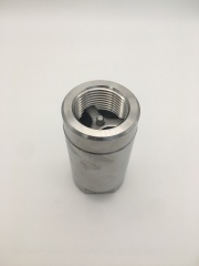 Stainless Steel 304 316 1PC Check Valve