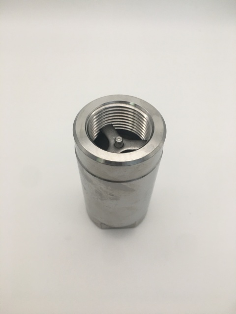 Stainless Steel 304 316 1PC Check Valve