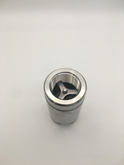 Stainless Steel 304 316 1PC Check Valve