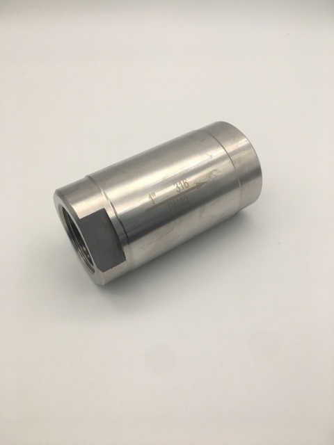 Stainless Steel 304 316 1PC Check Valve
