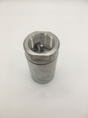Stainless Steel 304 316 1PC Check Valve
