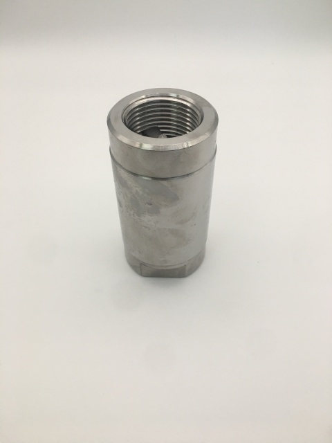 Stainless Steel 304 316 1PC Check Valve