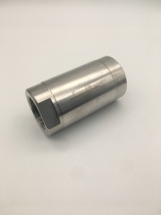 Stainless Steel 304 316 1PC Check Valve