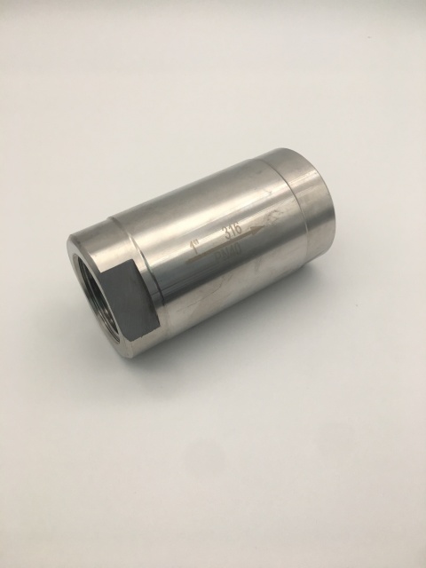 Stainless Steel 304 316 1PC Check Valve