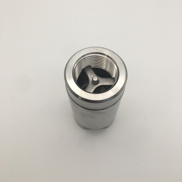 Stainless Steel 304 316 1PC Check Valve