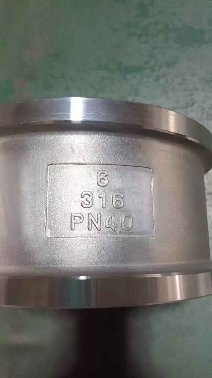 Stainless Steel 304 316 Non-Return Spring Vertical Water Pump Foot Wafer Disk Check Valve
