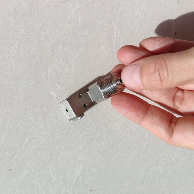Stainless Steel 304 316 316L Investment Casting (Silica Sol Precision Casting) Pressure Gauge Connector