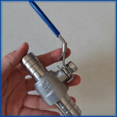 Custom Stainless Steel 304 316 Hose Tail Valve
