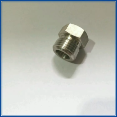 Stainless Steel 304 316 Hex Plug