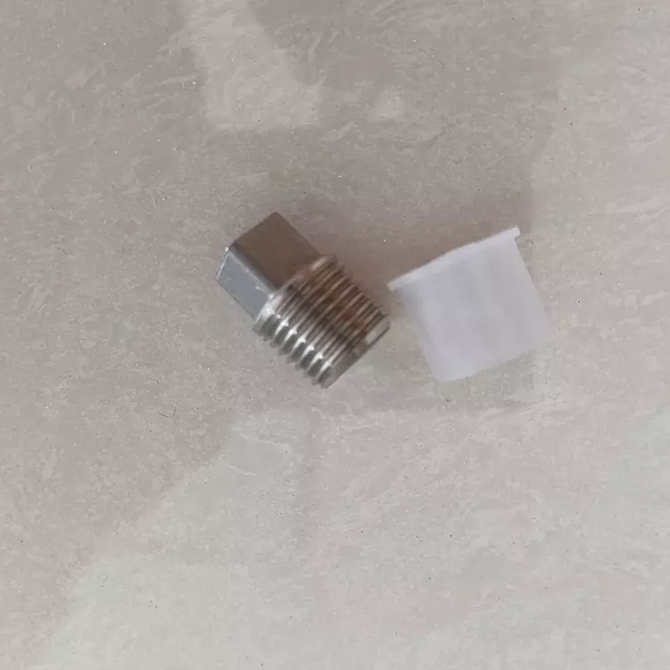 CF8 CF8M Square Plug
