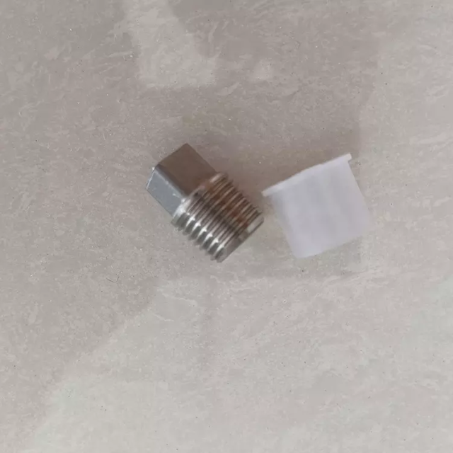 CF8 CF8M Square Plug