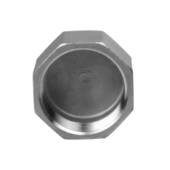Custom Investment Casting Stainless Steel 304 316 Threaded Hex Cap