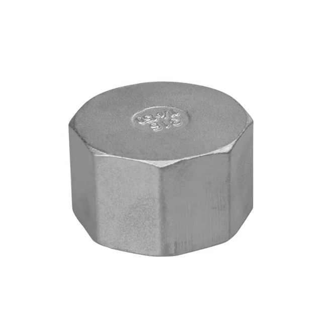 Custom Investment Casting Stainless Steel 304 316 Threaded Hex Cap
