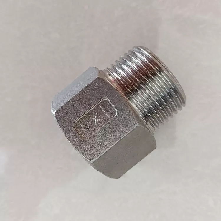 Stainless Steel 304 316 Negative Hex Bushing Male and Female Threaded Bushing Pipe Fittings