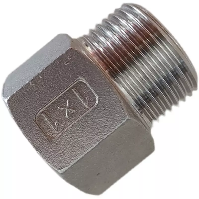 Stainless Steel 304 316 Negative Hex Bushing Male and Female Threaded Bushing Pipe Fittings