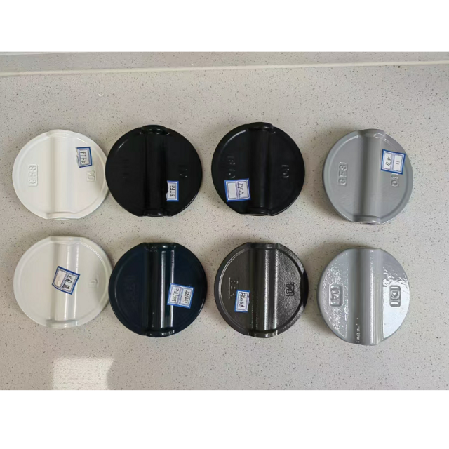 Stainless Steel 304 316 Investment Casting (Silica Sol Precision Casting) Butterfly Valve Plate