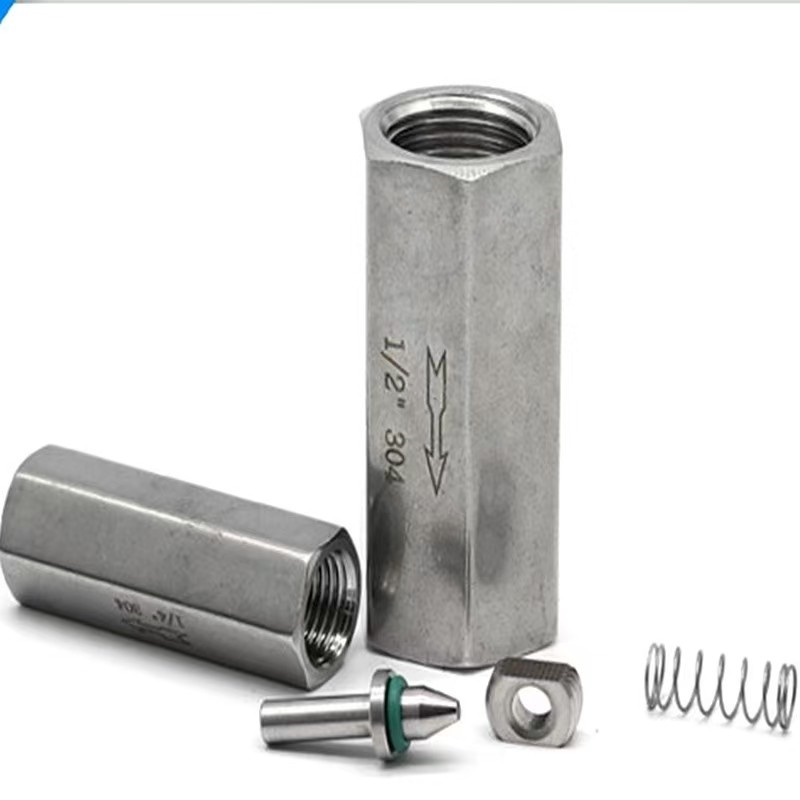 Custom Stainless Steel 304 316 Check Valve