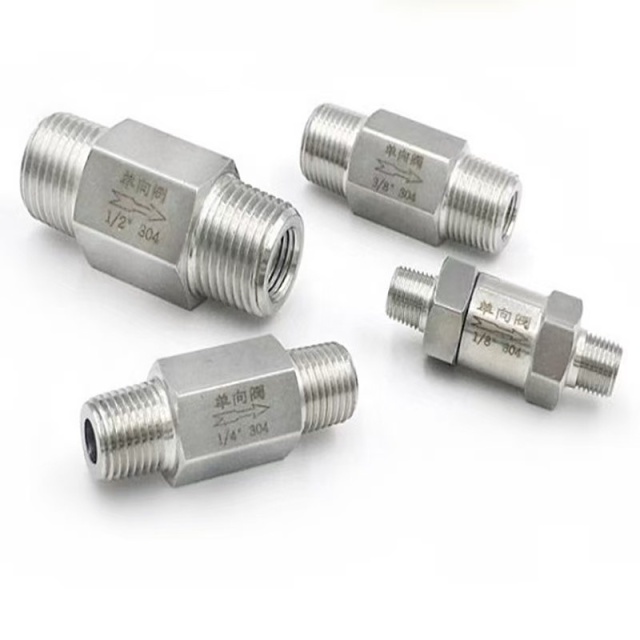 Custom Stainless Steel 304 316 Check Valve
