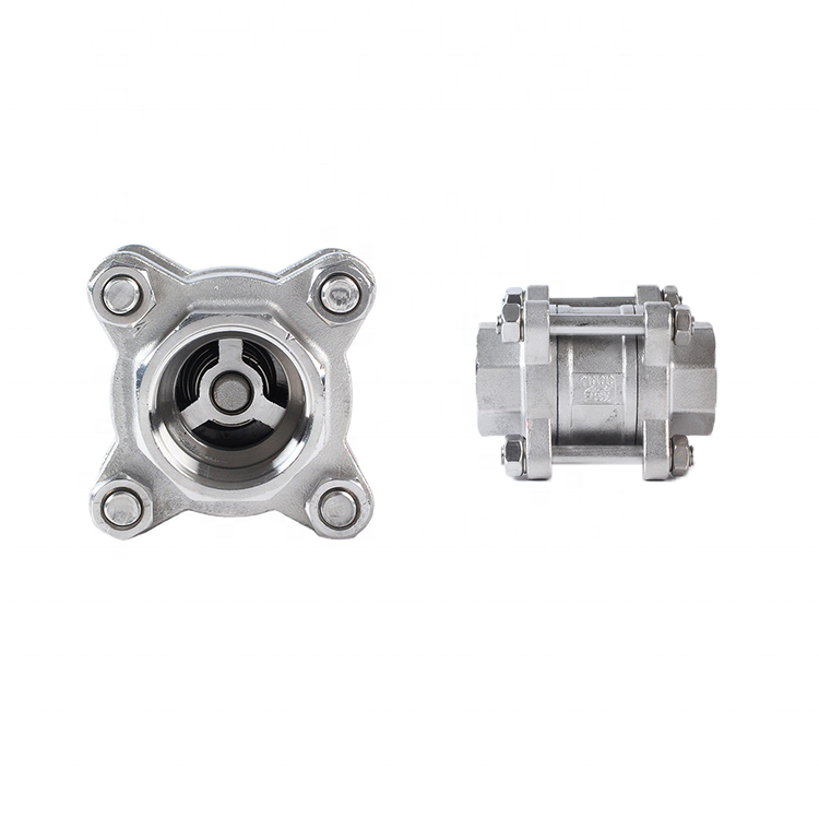 Stainless Steel 304 316 3PCS Non-Return Check Valve