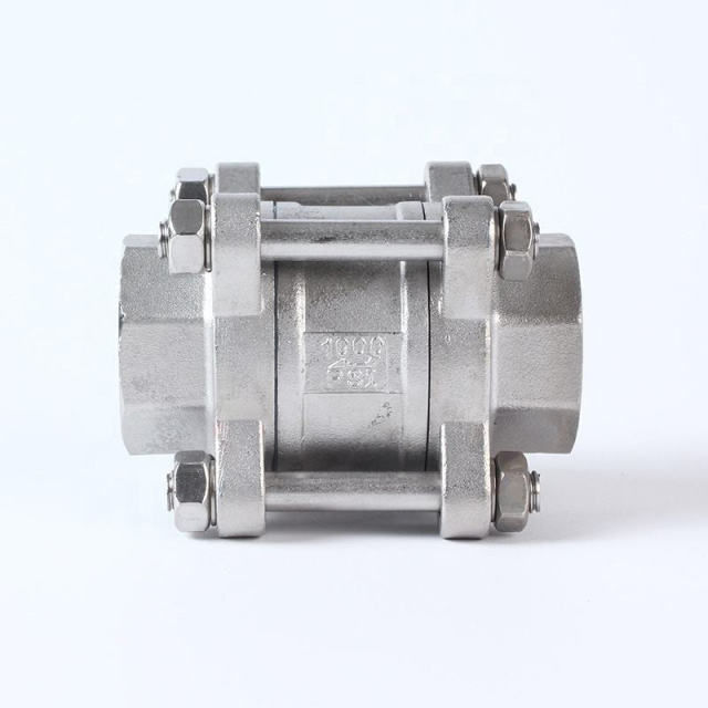 Stainless Steel 304 316 3PCS Non-Return Check Valve