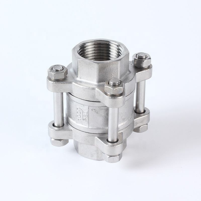 Stainless Steel 304 316 3PCS Non-Return Check Valve