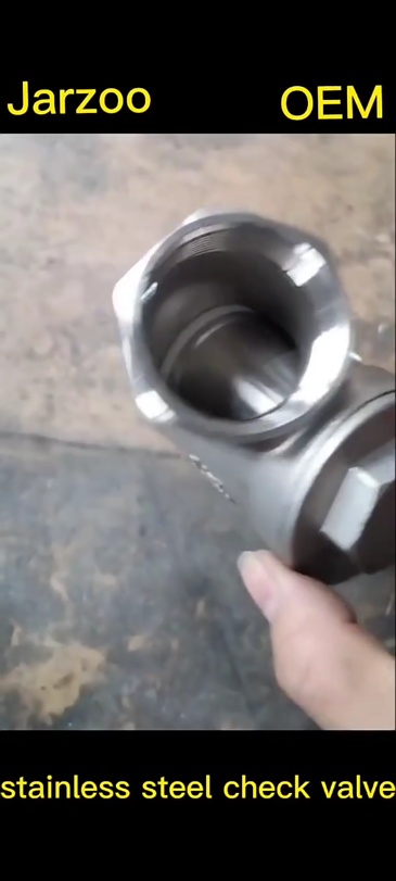 CF8/CF8M Stainless Steel 304 316 Y Type Spring Check Valve