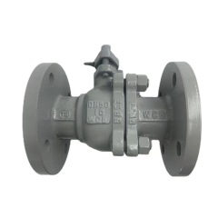 Custom Good Quality Carbon Steel 2PCS Flanged Ball Valve