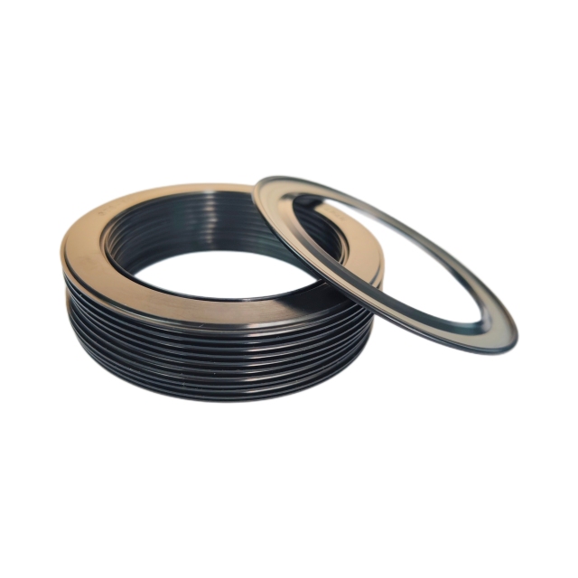 Bearing seal gasket,ABS Bearing Magnetic Encorder Seals Gasket Cover Manufacturer