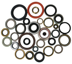 Automotive Differential system oil seal,Automotive Differential Oil Seal - High Quality Seals Manufacturer