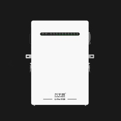 Wall Mount Lithium Battery 51.2V 100AH 200AH Powerwall Lithium battery