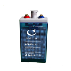 OPZS batteries 2 OPZV 100