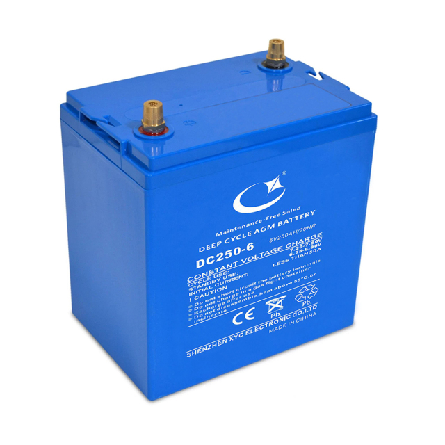 DC250-6 6V Deep Cycle AGM Battery Group GC2 | 250AH
