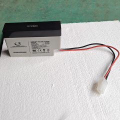 12V 0.8AH AGM Battery