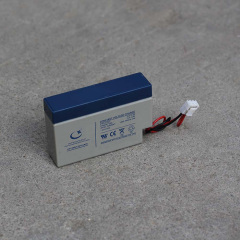 12V 0.8AH AGM Battery