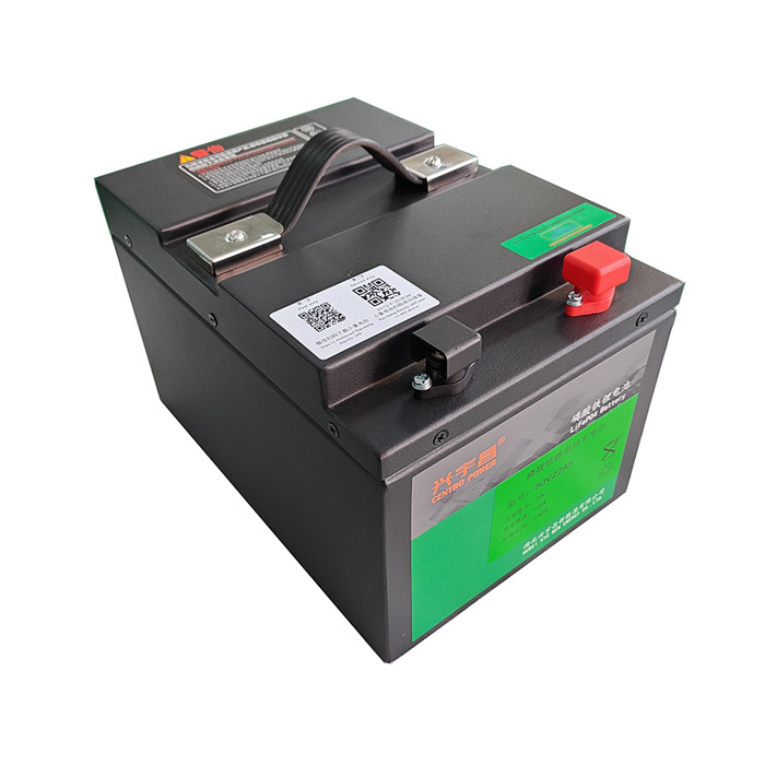 60v 22ah 30ah 50ah 65ah lifepo4 power battery Lithium Iron Phosphate Batteries Deep Cycle Battery for Electric vehicle