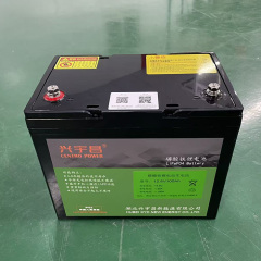 12.8V 100Ah Lithium Iron Phosphate Battery