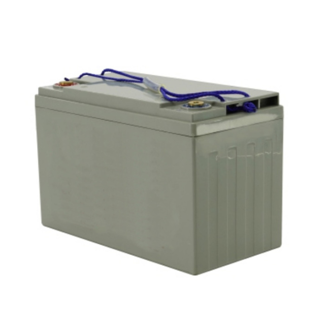 12V 100AH Deep Cycle 6-EVF-100 Motive EV Battery