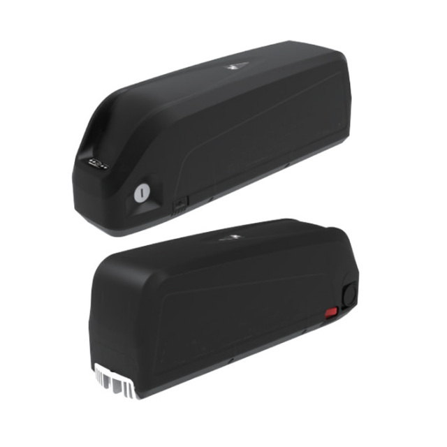 48V 20AH eBike Battery HAILONG