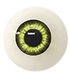 No.5