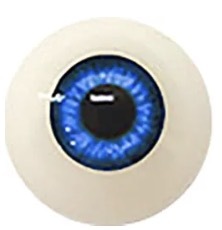 No.8