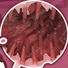 Tentacle Hell