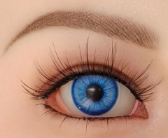 Light Blue (springing)