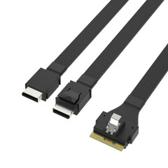 SlimSAS SFF8654 para 2*Oculink SFF8611