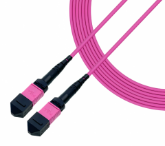 MPO Female To MPO Female OM4 3.0mm LSZH 12 Fibers MPO Patch Cord
