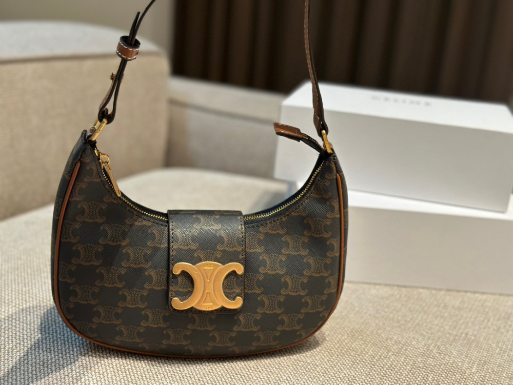celine bag 254