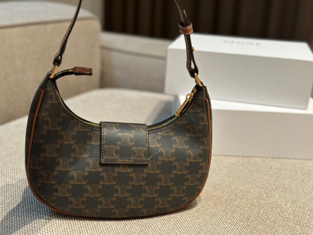 celine bag 254